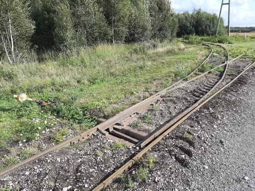 Kleine Runde im Provinzialmoor