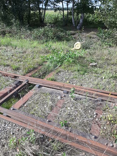 Kleine Runde im Provinzialmoor