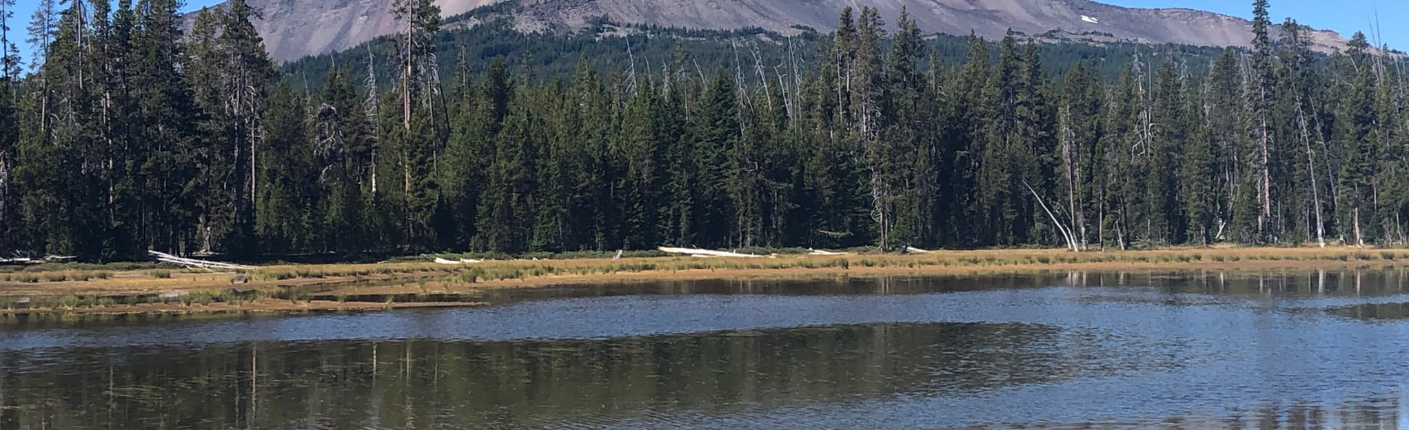 Trapper Creek to Diamond View Lake 36 Reviews, Map Oregon AllTrails