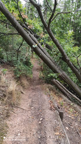 Koberbachtalsperre und Kleinbernsdorf