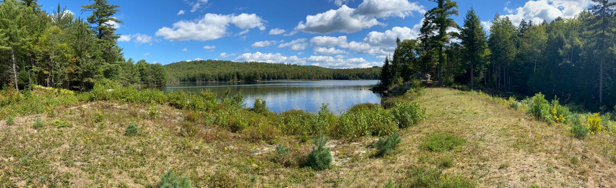 Stoddard Rocks via Pioneer Lake, New Hampshire 94 Reviews, Map