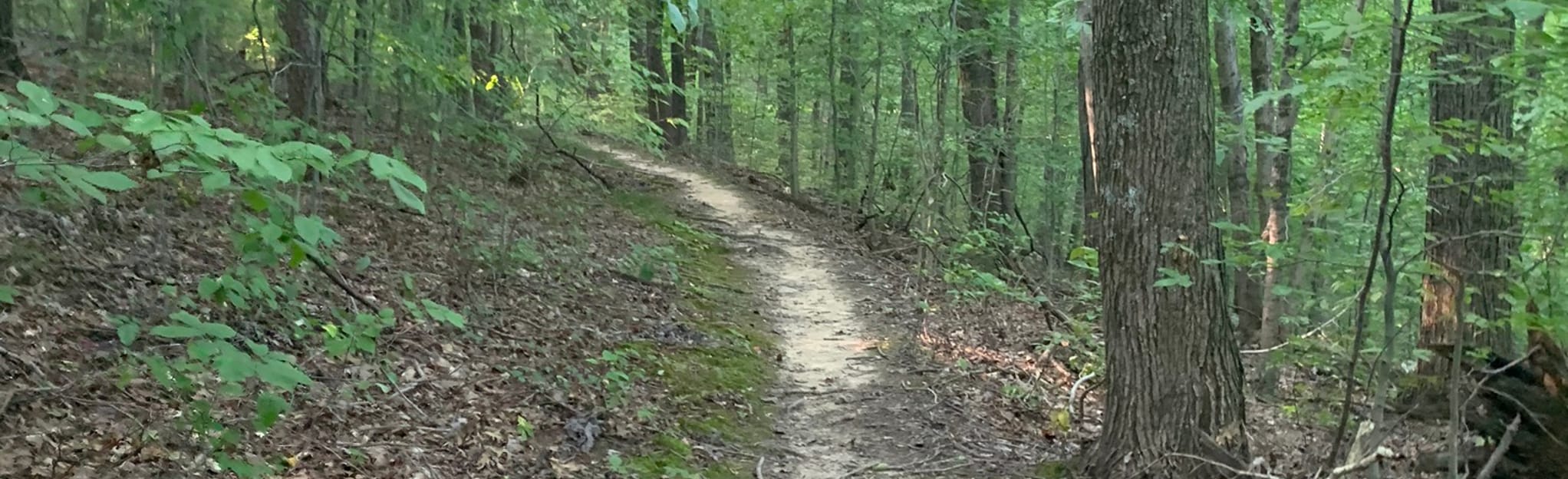 Blackwell to Terrill Ridge Loop, Indiana 14 Reviews, Map AllTrails