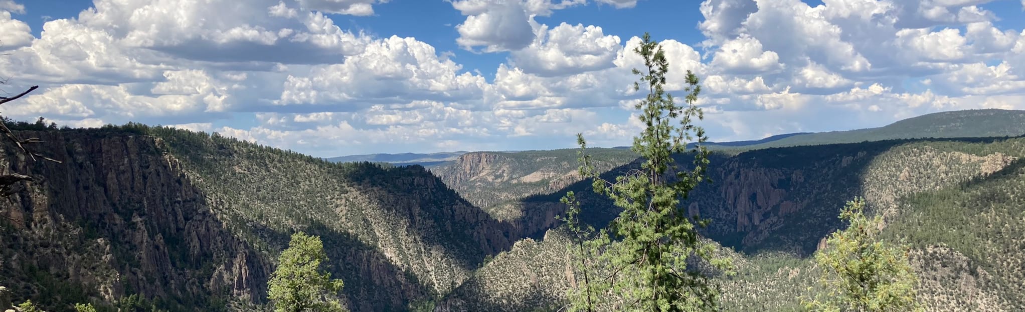 West Fork, Trail 12 and Middle Fork Loop 37 Reviews, Map New Mexico