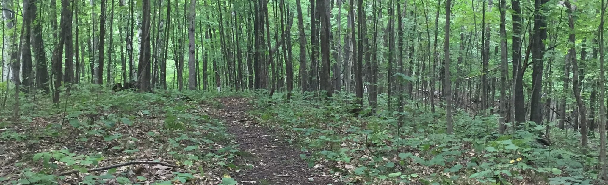 Ice Age Trail: Indian Creek Segment | Map, Guide - Wisconsin | AllTrails