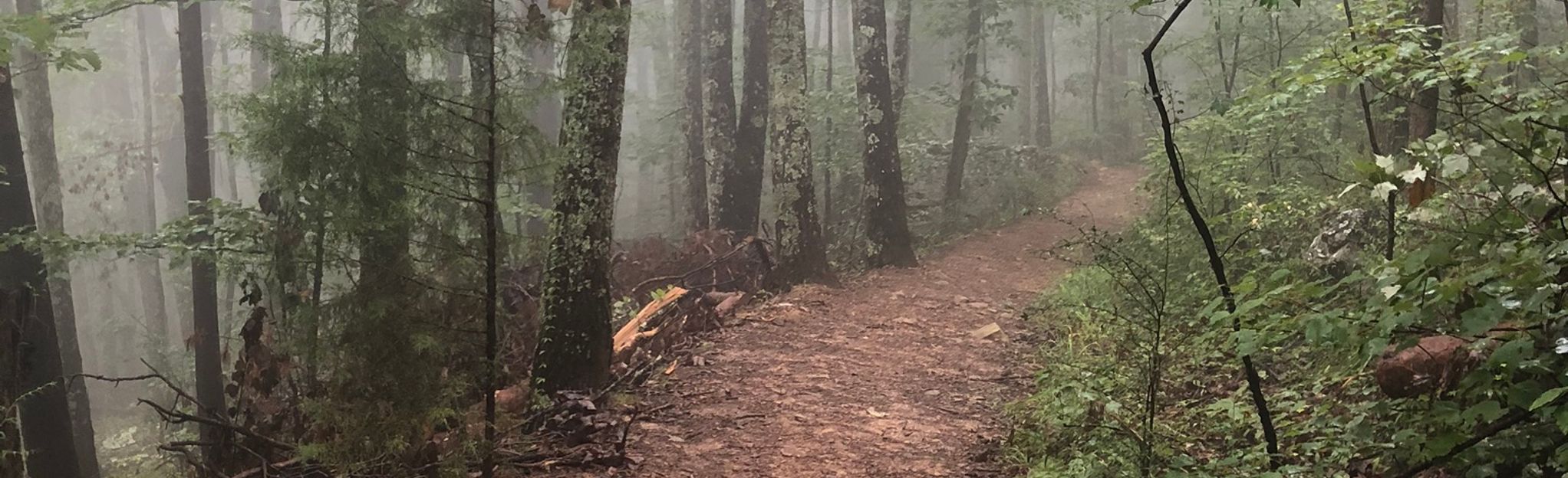 Blue, West Ridge and Foothills (Yellow) Trail Loop, Alabama - 107 ...