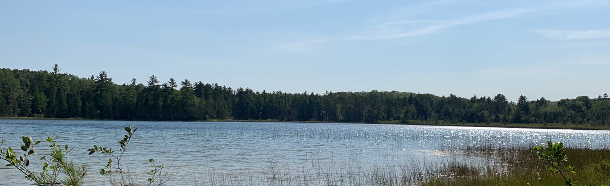 Pickerel Lake Pathway, Michigan - 7 Reviews, Map | AllTrails