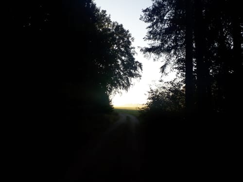 Illschwang Wanderweg 1