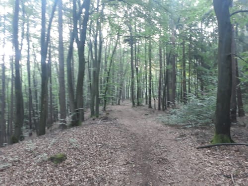 Illschwang Wanderweg 1