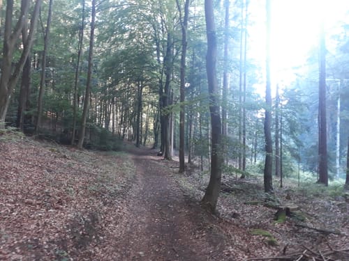 Illschwang Wanderweg 1