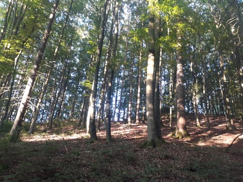 Illschwang Wanderweg 1