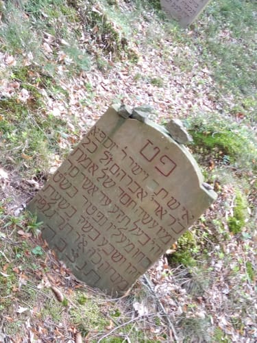 EifelSchleife Burgenblick