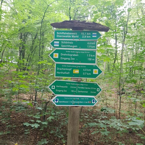 Rund um den Zoo Eberswalde