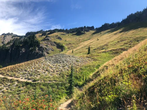 10 Best Hikes and Trails in Gifford Pinchot National Forest | AllTrails