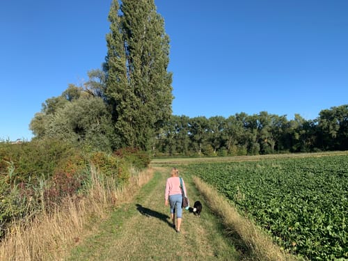 Alzeyer Mühlenweg