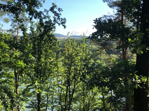 Petersberg 9