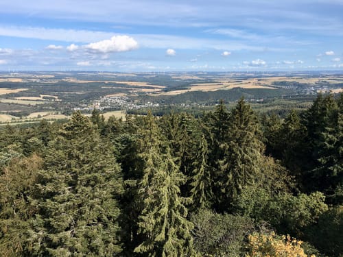 Heimat Gemünden (Traumschleife)