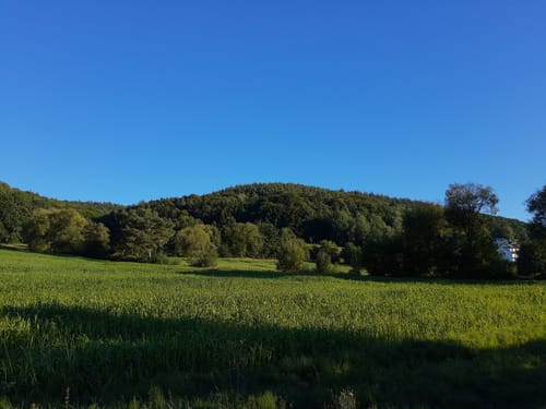 Rhein-Main-Vergnügen: Route 7a