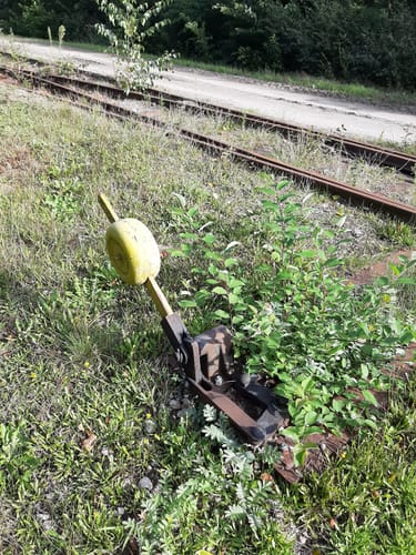 Kleine Runde im Provinzialmoor