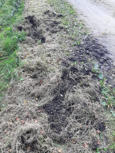 Kleine Runde im Provinzialmoor