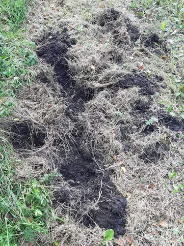 Kleine Runde im Provinzialmoor