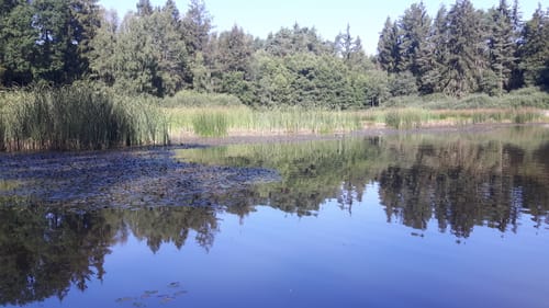Erzweg Etappe 8: Paulsdorf - Theuern