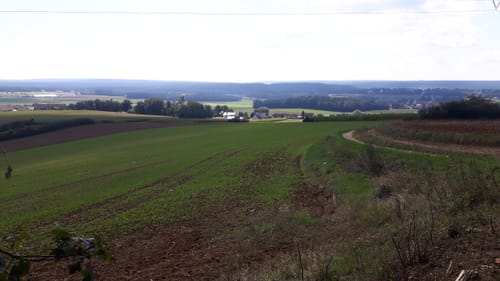 Von Amberg nach Nabburg 