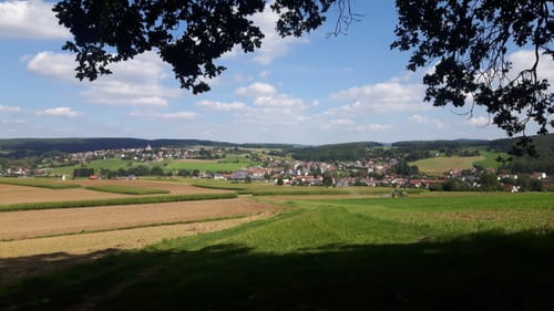 Erzweg Etappe 7: Amberg - Paulsdorf