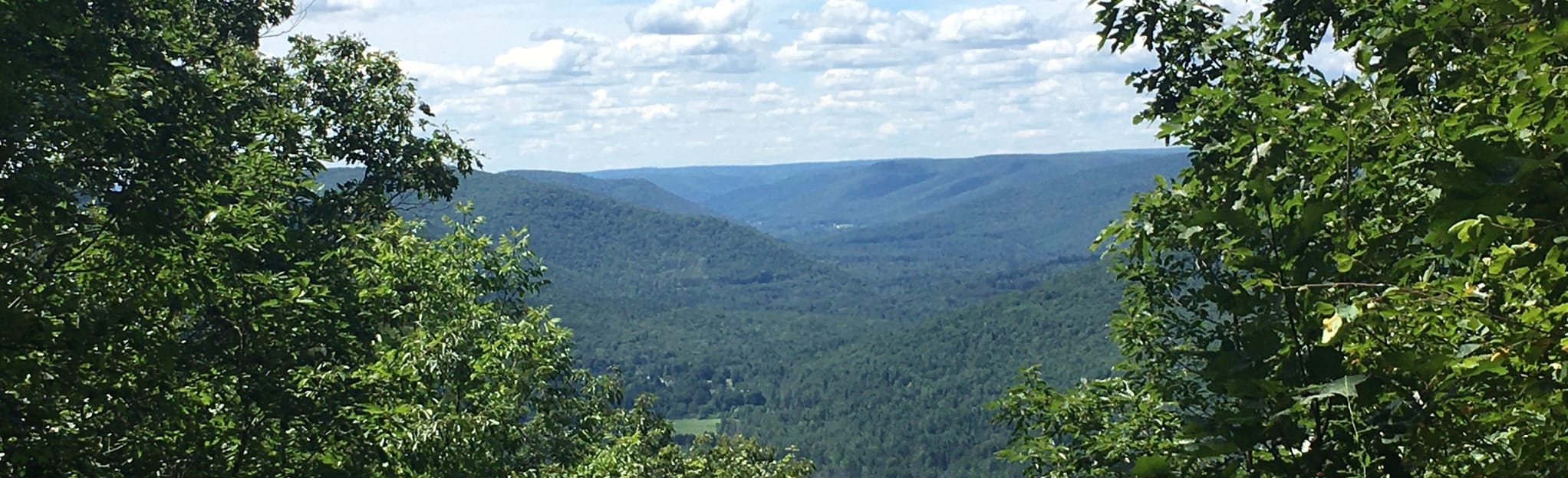 Mount Tom Loop 135 Reviews, Map Pennsylvania AllTrails