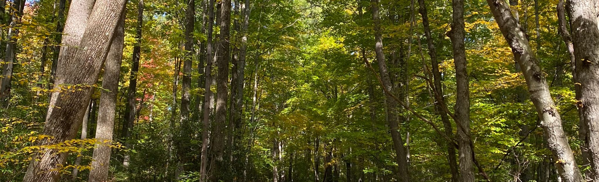 Fieldstone Farm Trail Loop 84 Reviews, Map Pennsylvania AllTrails