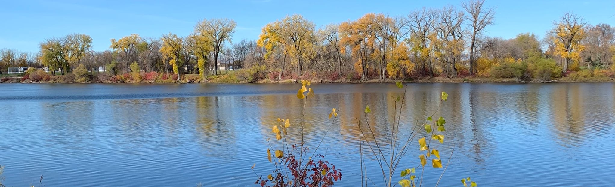 Bunn’s Creek Trail 547 Reviews, Map Manitoba, Canada AllTrails