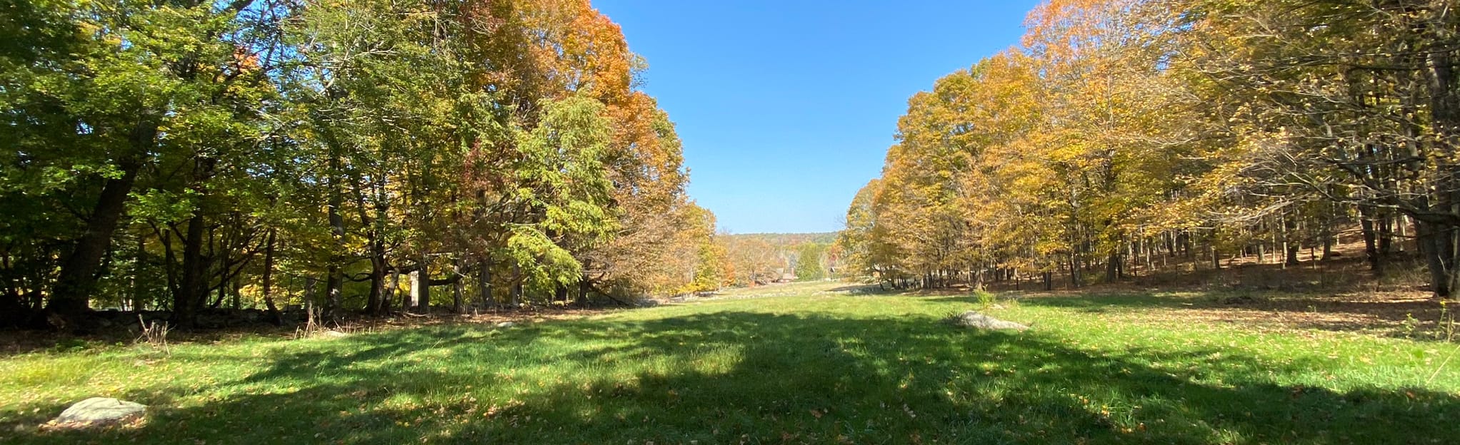 Fuller Pond Loop, Connecticut 72 Reviews, Map AllTrails