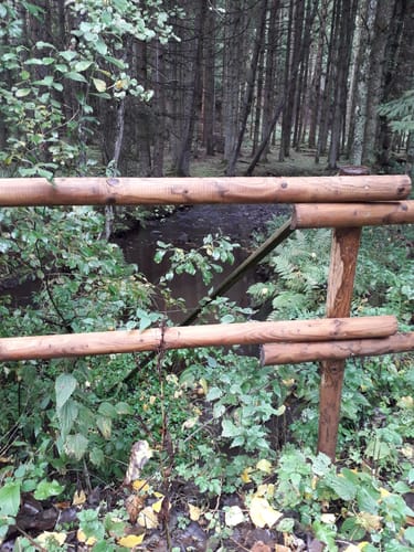 Plütscheid (Naturpark Südeifel Wanderweg Nr. 20)