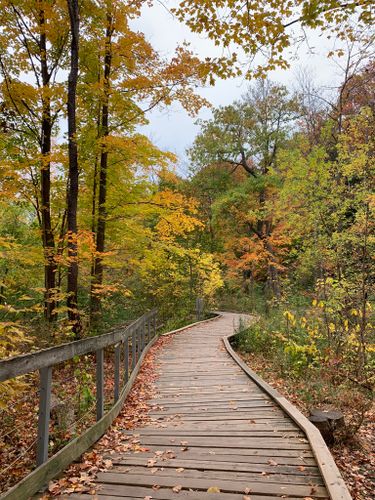 2023 Best 10 Trails and Hikes in Mississauga | AllTrails