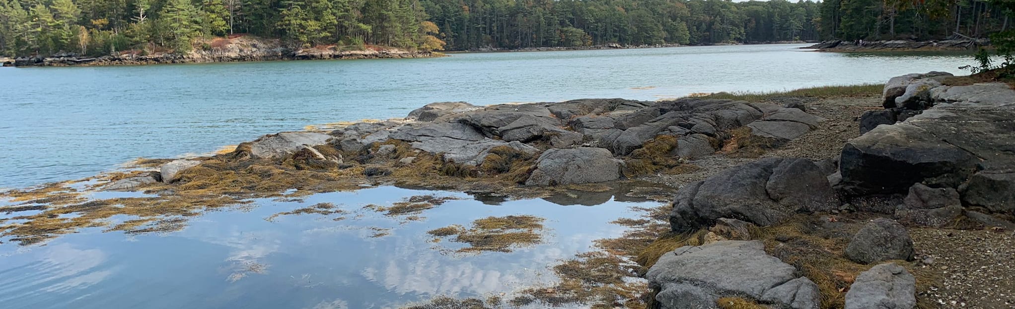 Denny Reed Trail 28 Reviews, Map Maine AllTrails