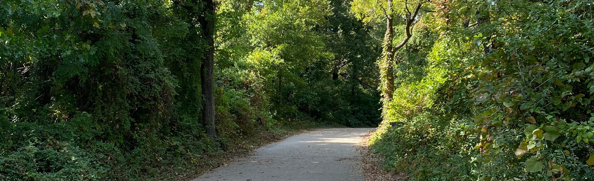 Taychas Trail 620 Reviews, Map Texas AllTrails