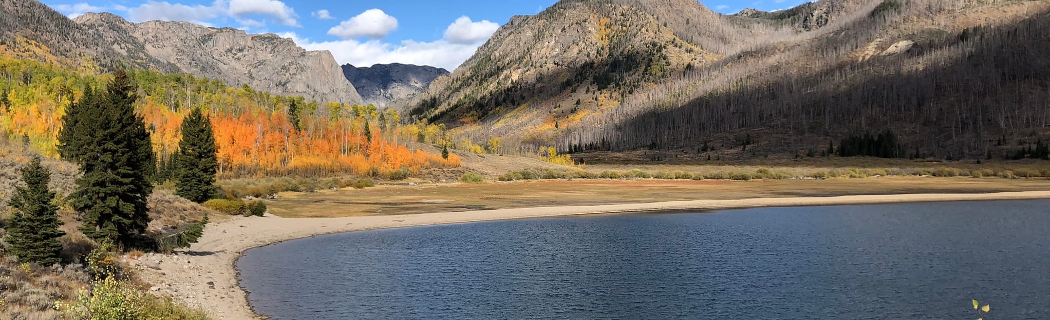 New Fork Lake Trail Wyoming 103 Reviews Map AllTrails