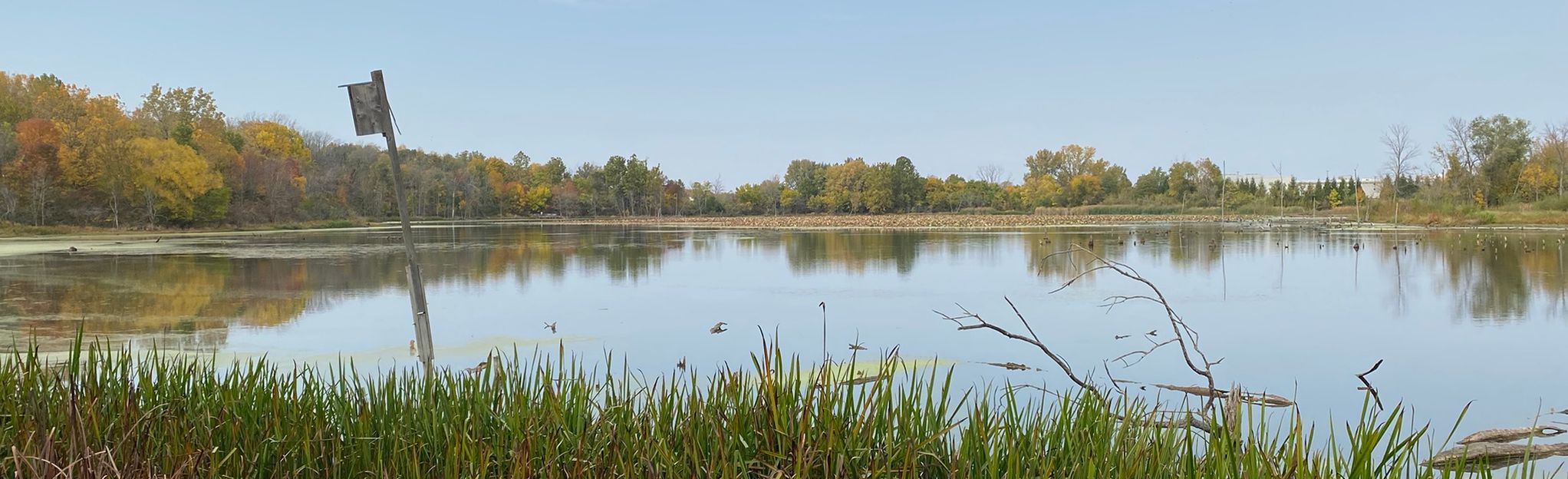 Celery Bog Nature Trail: 257 Reviews, Map - Indiana 