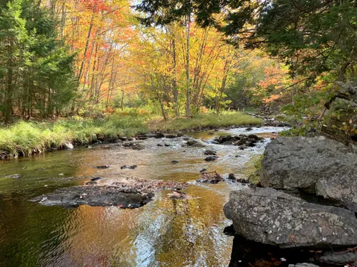 9 Nova Scotia rivers with spectacular shad fishing • Outdoor Canada