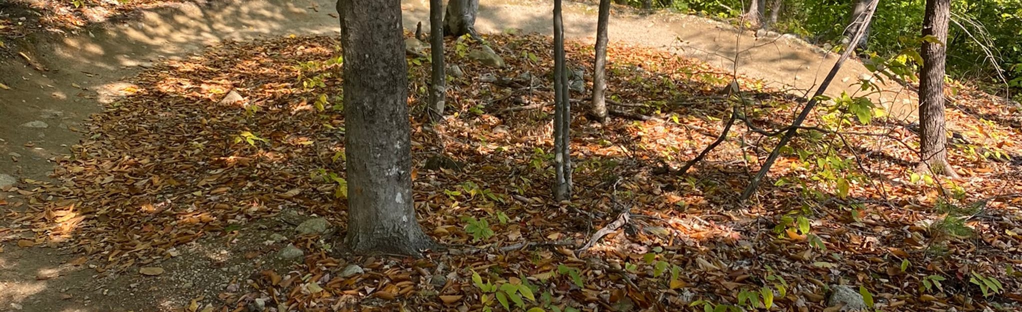 Shumway and Lemon Squeezer, New Hampshire 170 Reviews, Map AllTrails