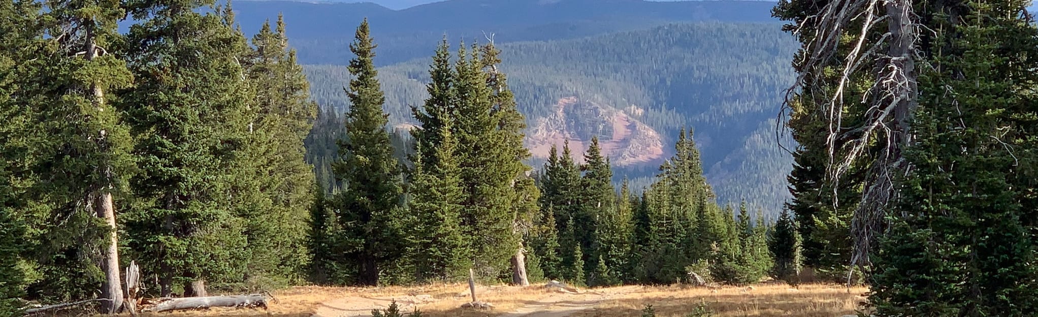 Bridger Peak Trail, Wyoming 25 Reviews, Map AllTrails