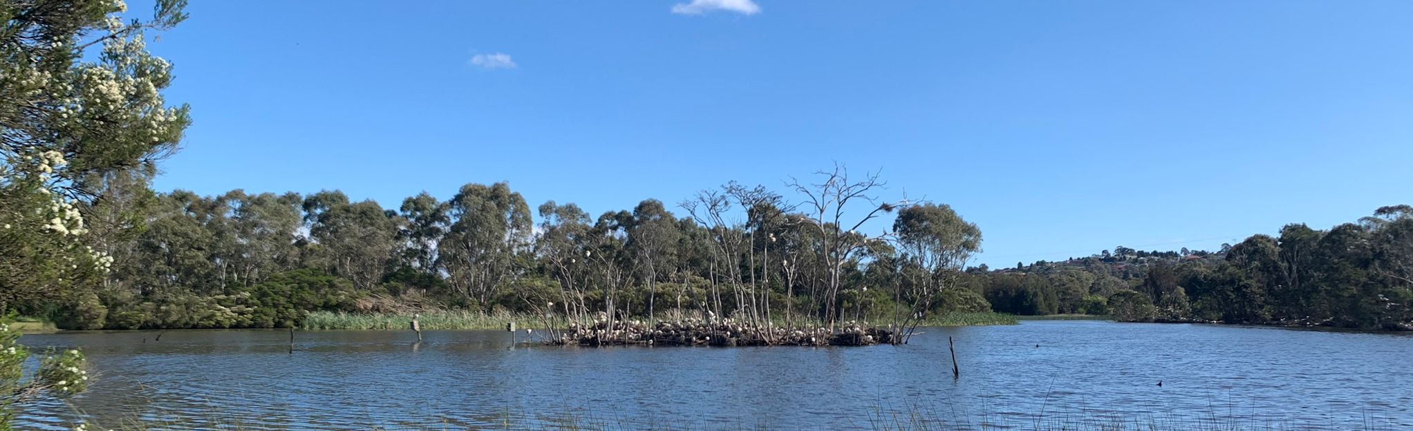 Jells Park Lake Loop: 162 Reviews, Map - Victoria, Australia | AllTrails