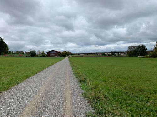 Um Ehningen