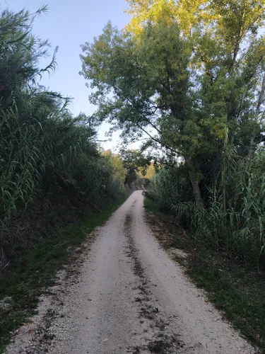 Best Hikes and Trails in Vila Nova de São Pedro AllTrails