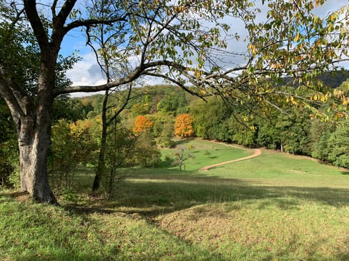 Von der Bergstraße zum Felsenmeer