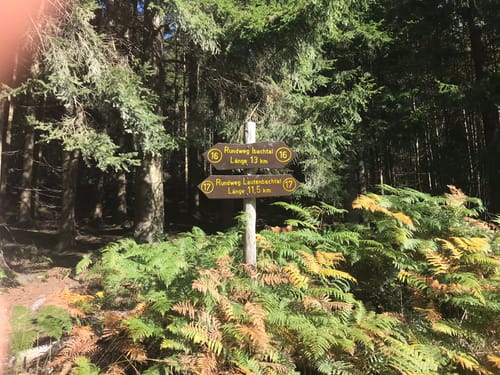 Rundweg Ibachtal