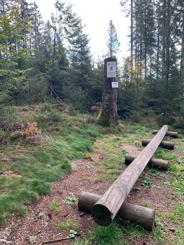 Trimm-Dich-Pfad Furtwangen