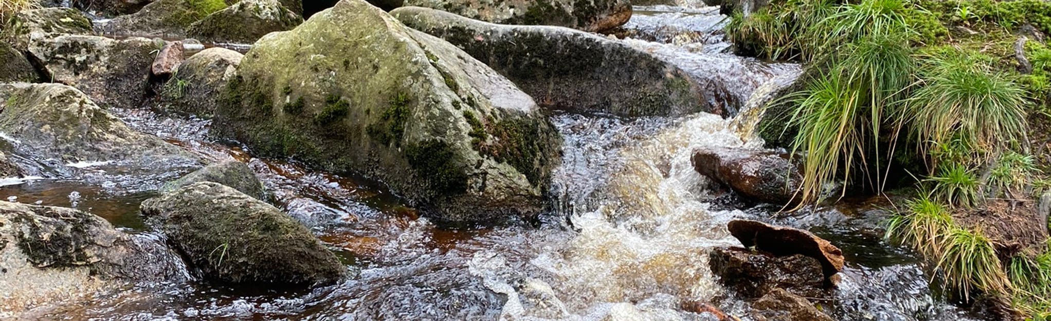 Along the Bode Upper Bode Waterfall, Lower Saxony, Germany 4