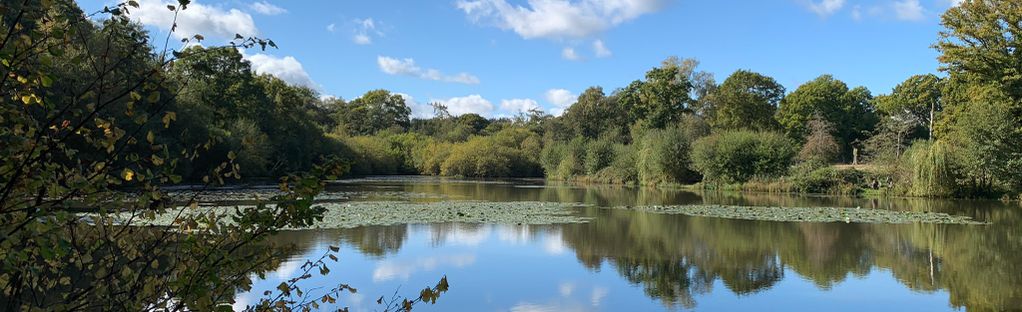 Rake and Terwick Circular, Hampshire, England - 14 Reviews, Map