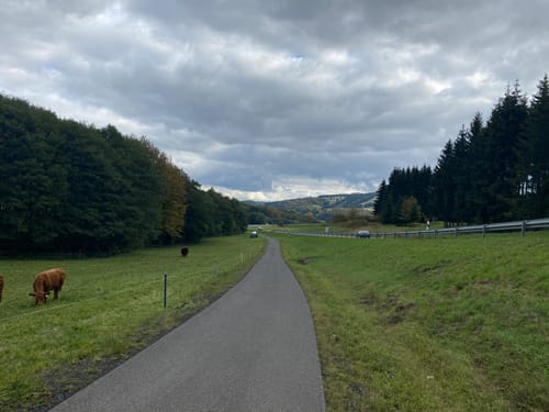 Schwedenschanze - Wildflecken - Oberbach