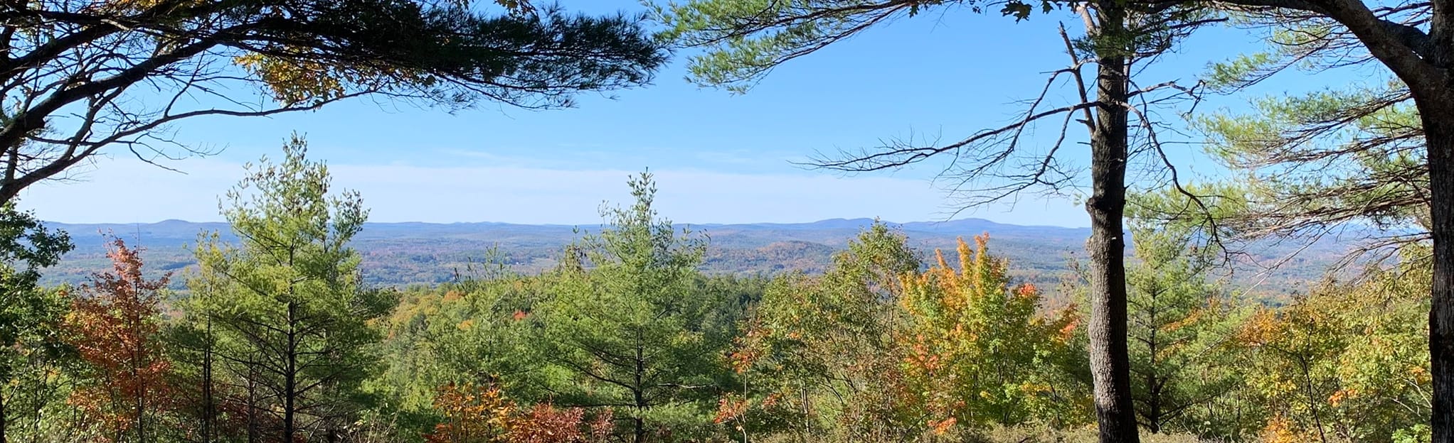 Sawyer Mountain Loop via Sawyer Mountain Road and Sherwood Libby Trail